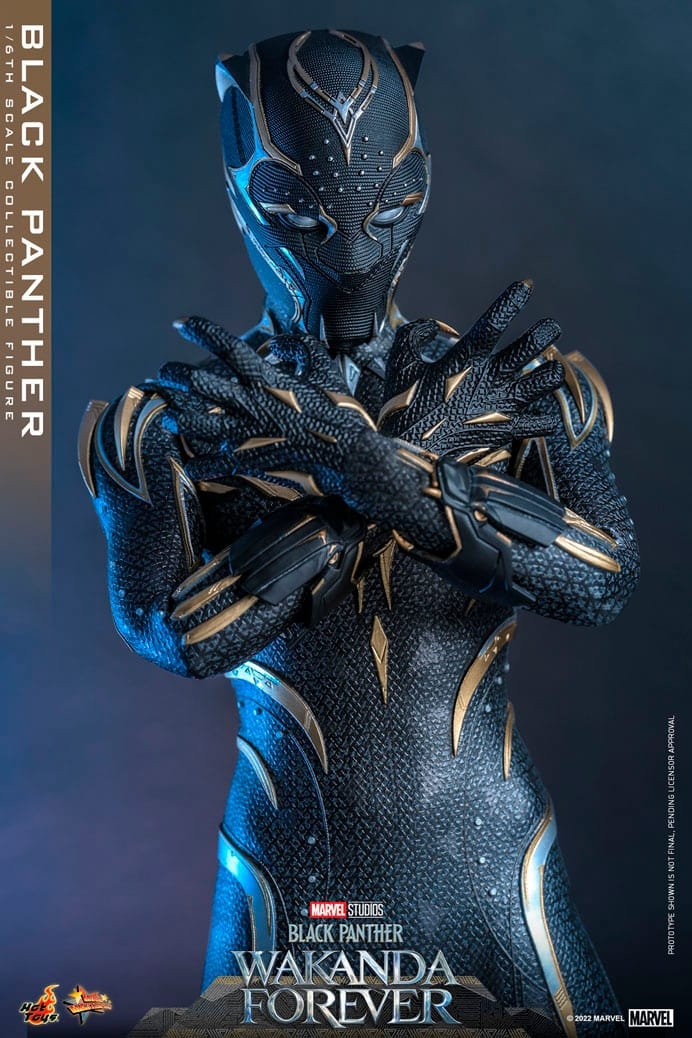 black-panther_marvel_gallery_636be320b9cc5.jpg