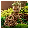 groot_marvel_gallery_6363ebad866eb.jpg