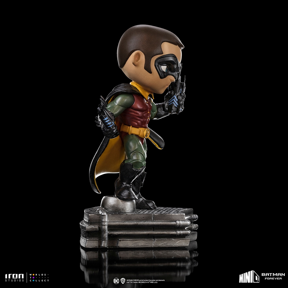 Robin Forever MiniCo-IS_05.jpg