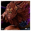Beast Man BDS-IS_13.jpg