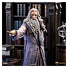 Dumbledore-Deluxe-IS_07.jpg