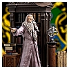 Dumbledore-Deluxe-IS_14.jpg