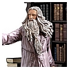 Dumbledore-Deluxe-IS_17.jpg