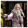 Dumbledore-Deluxe-IS_18.jpg