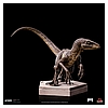 Velociraptor C-IS_04.jpg