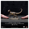 Velociraptor C-IS_08.jpg