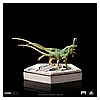 Compsognathus-Icons-IS_06.jpg