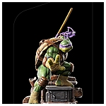 TMNT_Donatello_BDS-IS_01.jpg