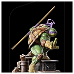 TMNT_Donatello_BDS-IS_03.jpg