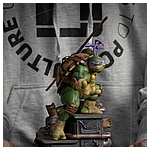 TMNT_Donatello_BDS-IS_07.jpg