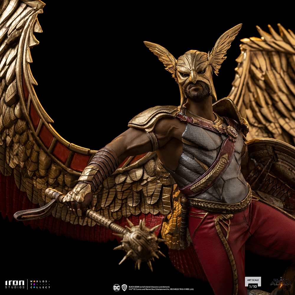 Hawkman-BDS-IS_07.jpg