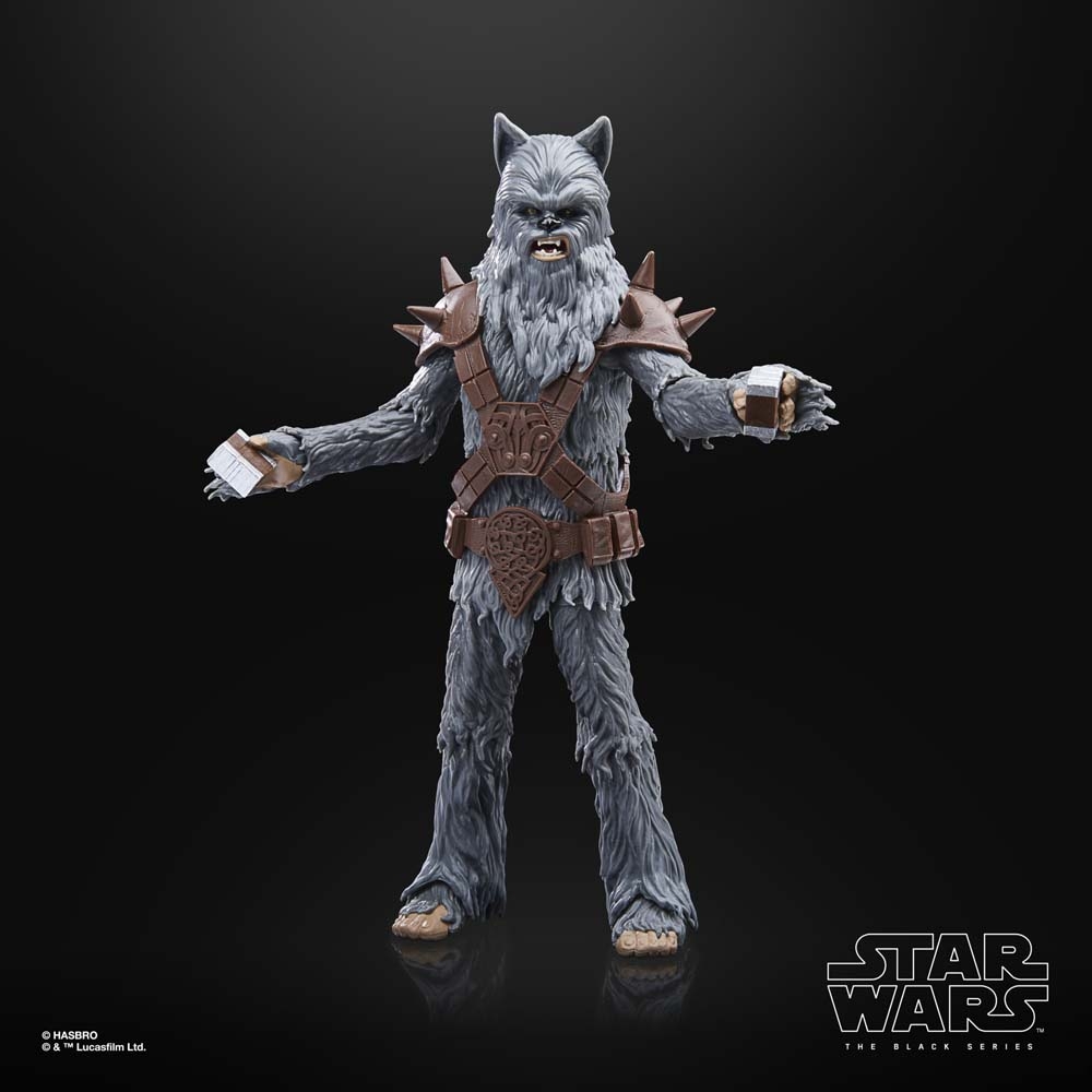 black-series-wookiee-halloween-124.jpg