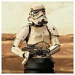 Mando_RemnantTrooper_Bust_03__77008.1652915168.jpg