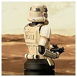 Mando_RemnantTrooper_Bust_04__70132.1652915168.jpg