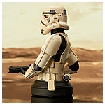 Mando_RemnantTrooper_Bust_05__28606.1652915168.jpg