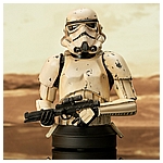 Mando_RemnantTrooper_Bust_06__96575.1652915169.jpg