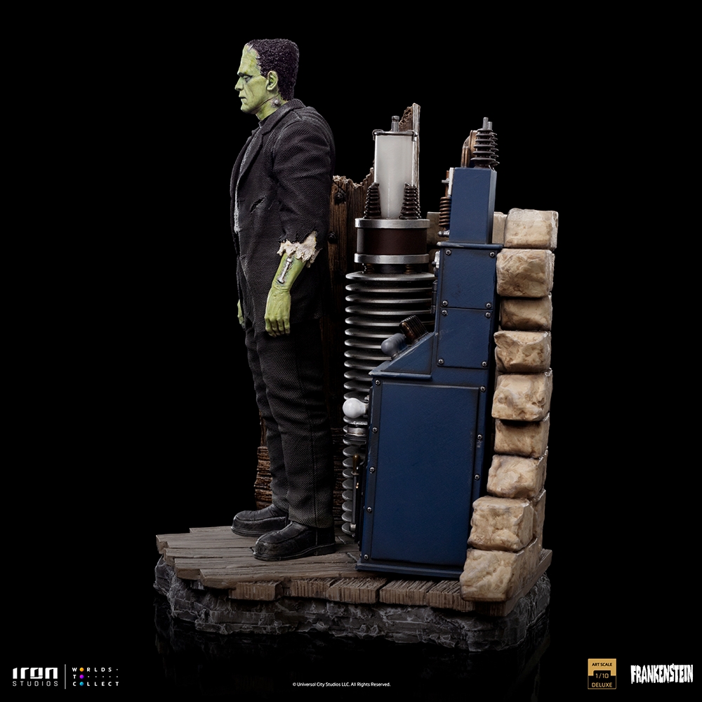 Frankenstein-DLX-IS_03.jpg