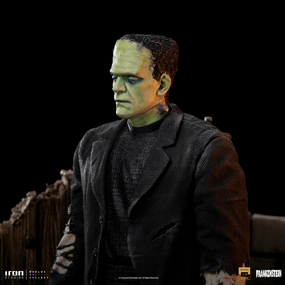 Frankenstein-DLX-IS_11.jpg