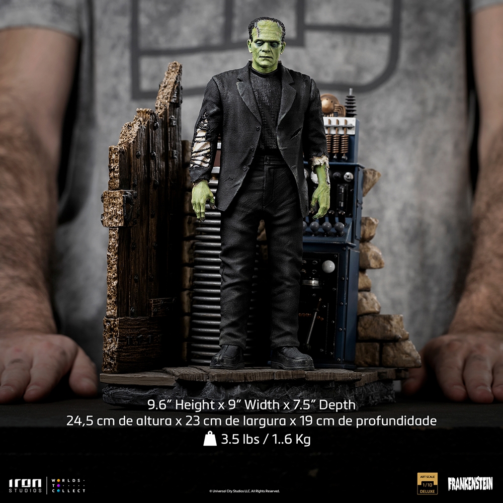 Frankenstein-DLX-IS_17.jpg