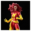 Marvel Legends Series Retro Dark Phoenix 4.jpg