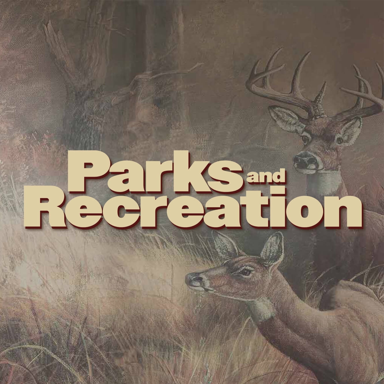 Parks-and-Recreation-license2.jpg