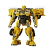 Bumblebee1.jpg