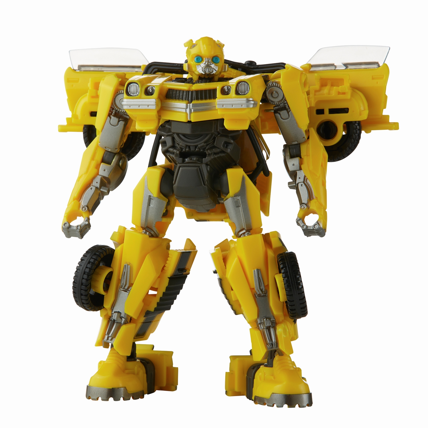 Bumblebee1.jpg