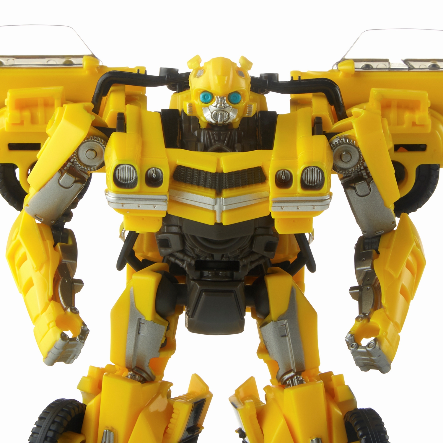 Bumblebee2.jpg