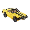 Bumblebee4.jpg