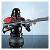 PurgeTrooper1.jpg