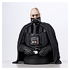 SW_UnmaskedDVader_Bust_02 (1).jpg