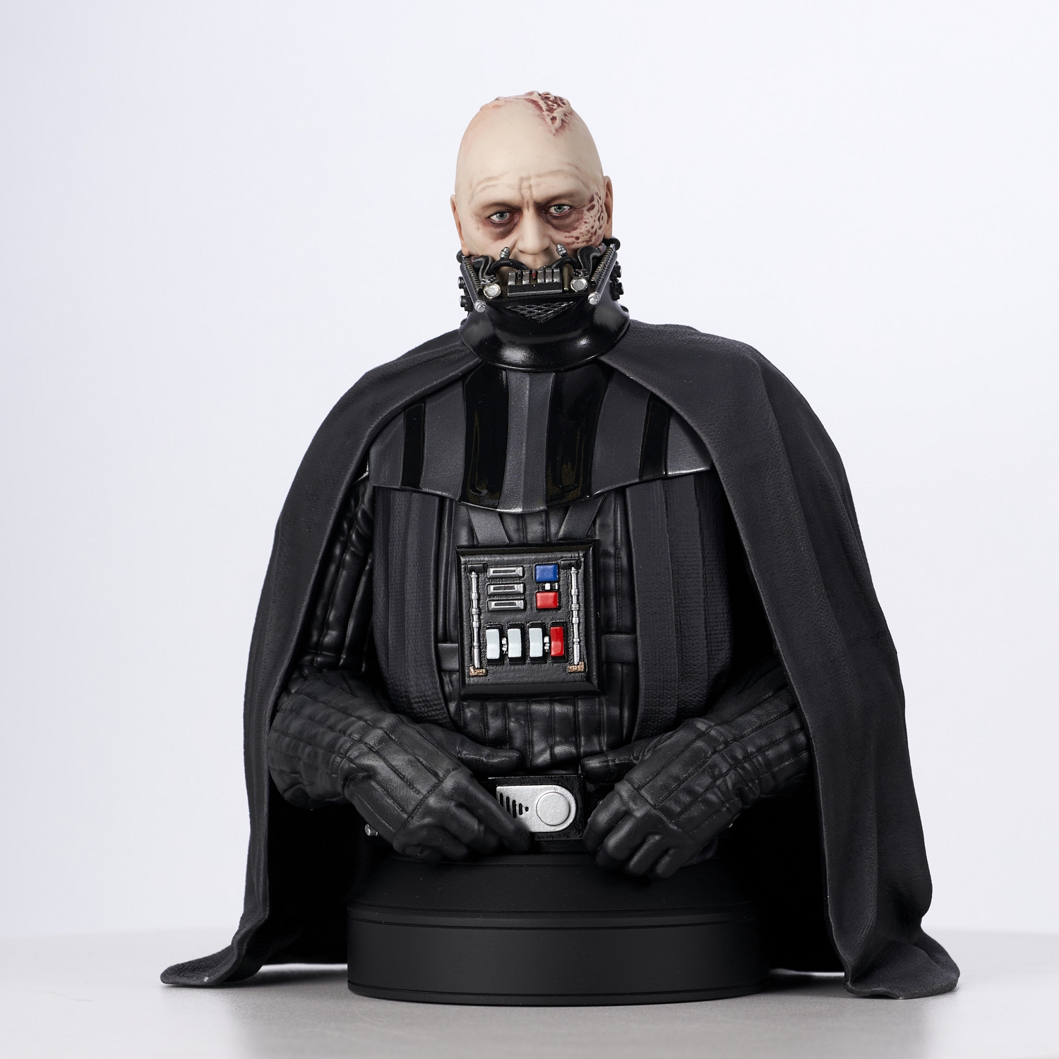 SW_UnmaskedDVader_Bust_02 (1).jpg