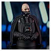 SW_UnmaskedDVader_Bust_02.jpg