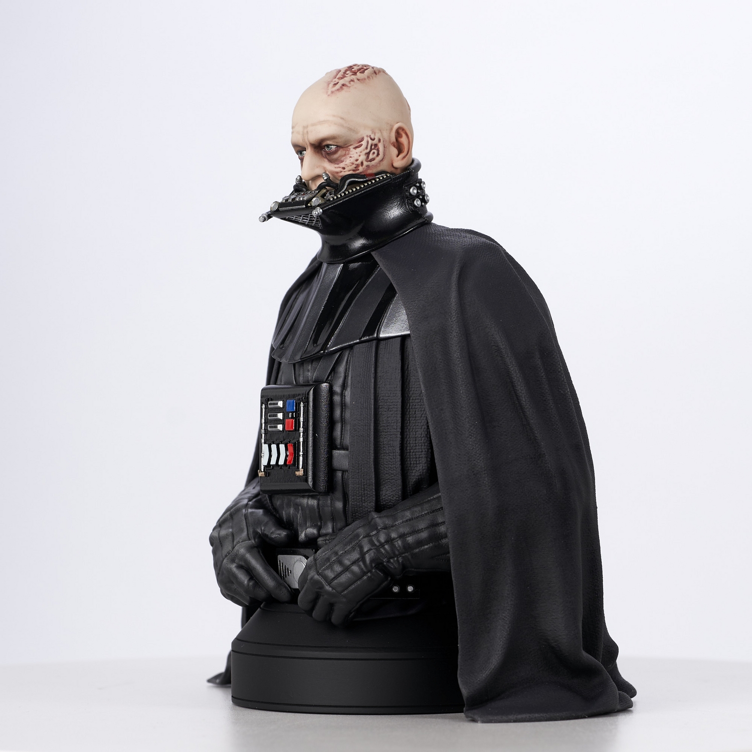 SW_UnmaskedDVader_Bust_03 (1).jpg