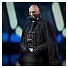 SW_UnmaskedDVader_Bust_03.jpg