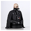 SW_UnmaskedDVader_Bust_09.jpg