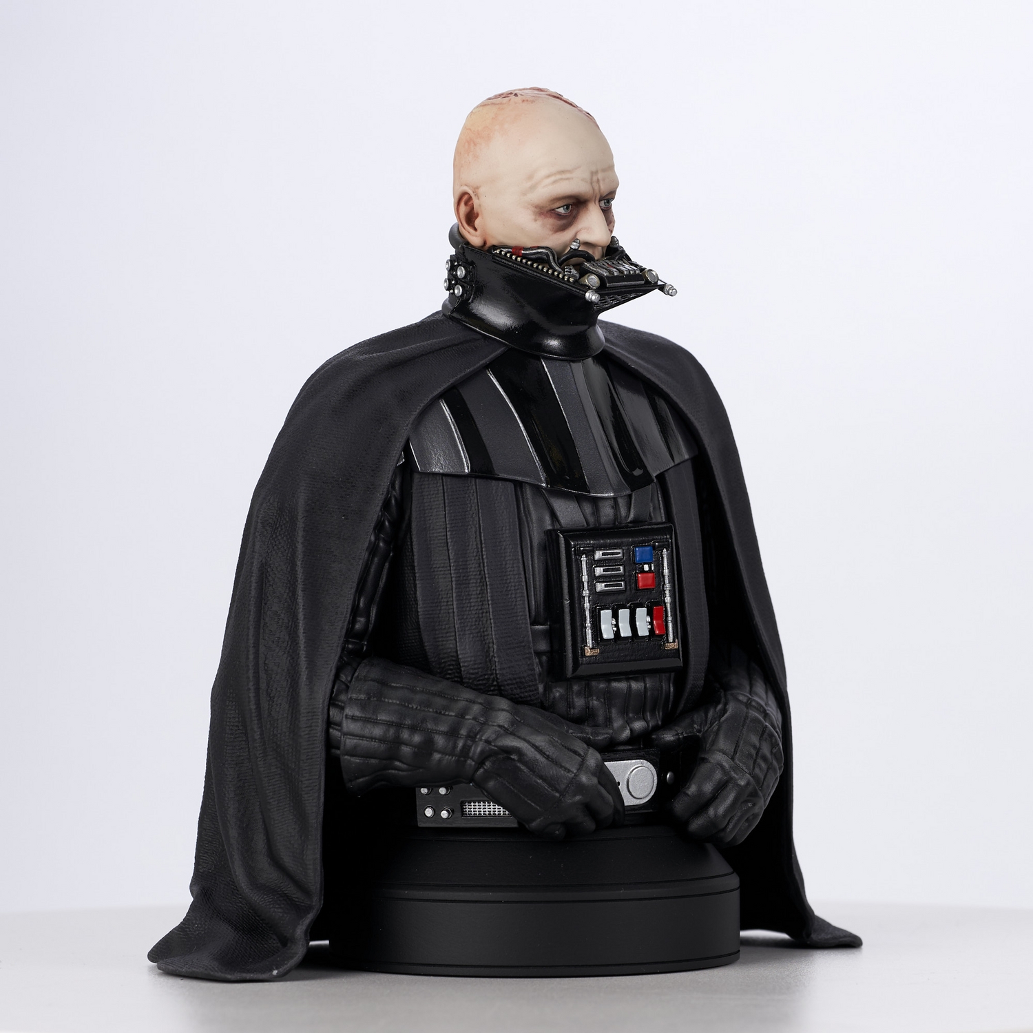 SW_UnmaskedDVader_Bust_09.jpg