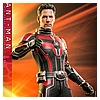 ant-man_marvel_gallery_63e152e448da6.jpg