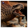 Dimetrodon-IS_05.JPG