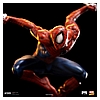 Spider-Man-IS_07.jpg
