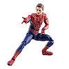 MARVEL LEGENDS FRIENDLY NEIGHBORHOOD SPIDER-MAN 5.jpg