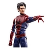 MARVEL LEGENDS THE AMAZING SPIDER-MAN 3.jpg