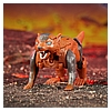 TF Legacy United Core Class Beast Wars II Universe Tasmania Kid 11.jpg