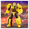 TF Legacy United Deluxe Class Animated Universe Bumblebee 3.jpg
