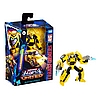 TF Legacy United Deluxe Class Animated Universe Bumblebee Package 2.jpg
