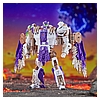 TF Legacy United Leader Class Beast Wars Universe Tigerhawk 4.jpg