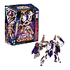 TF Legacy United Leader Class Beast Wars Universe Tigerhawk Package 2.jpg