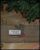 DSC_0174.jpg