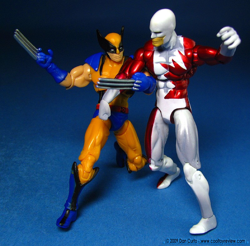 Fighting Wolverine!