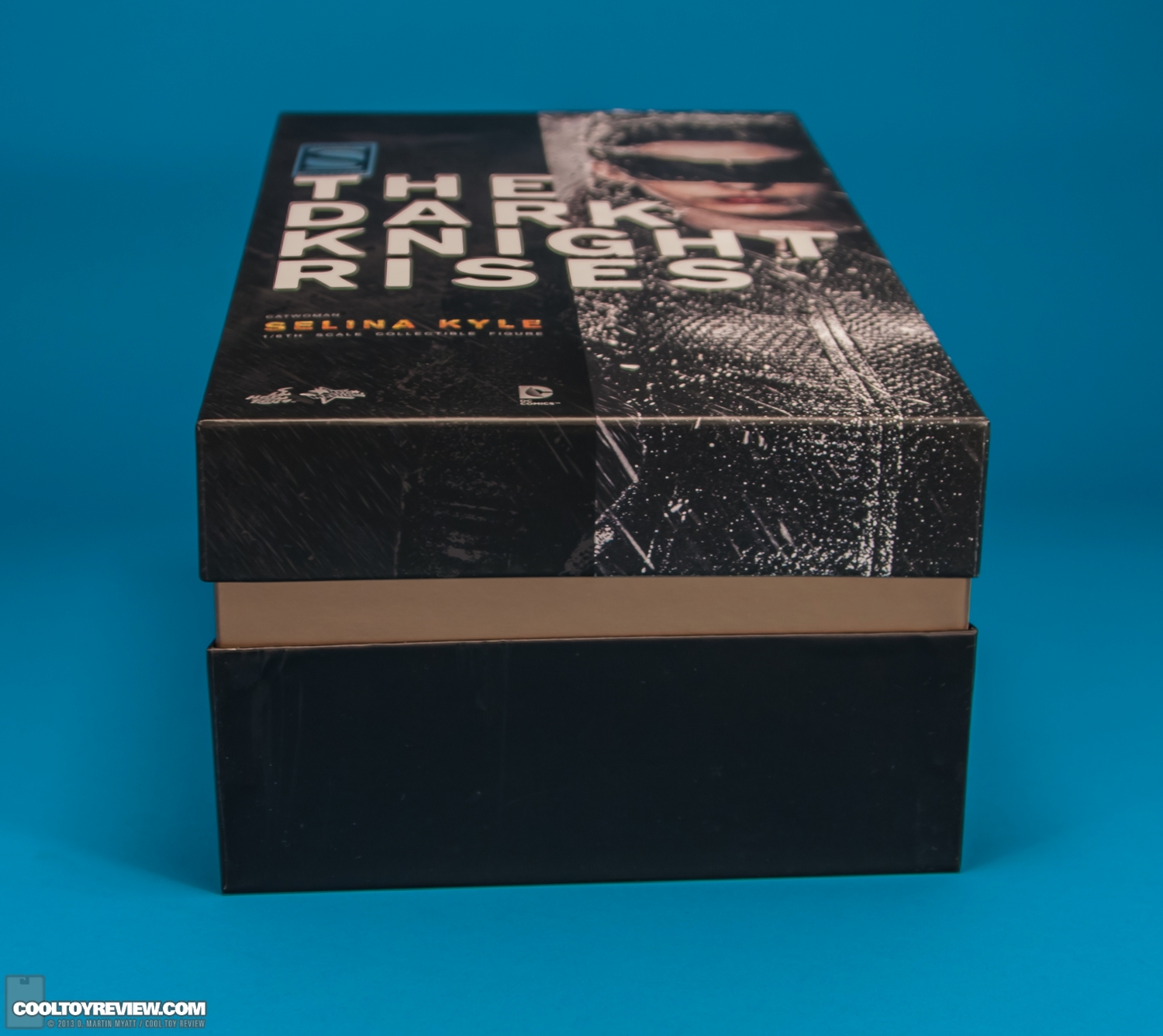 Selina-Kyle-Catwoman-Dark-Knight-Rises-Hot-Toys-029.jpg